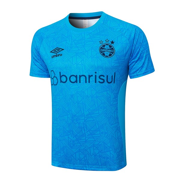 Camiseta Entrenamiento Grêmio FBPA 2024 2025 Azul